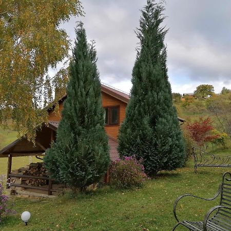 Casa Zara Villa Bran  Bagian luar foto