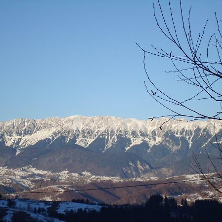 Casa Zara Villa Bran  Bagian luar foto