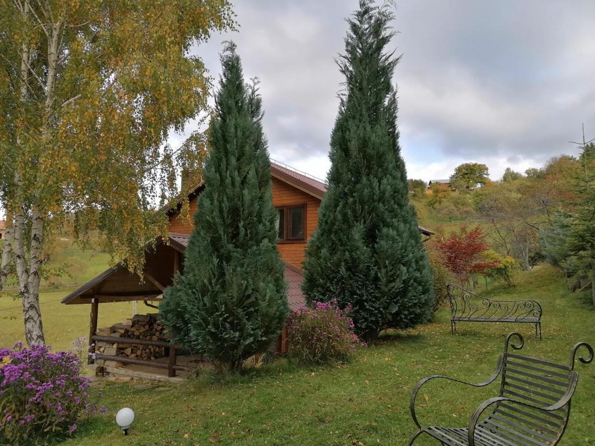 Casa Zara Villa Bran  Bagian luar foto