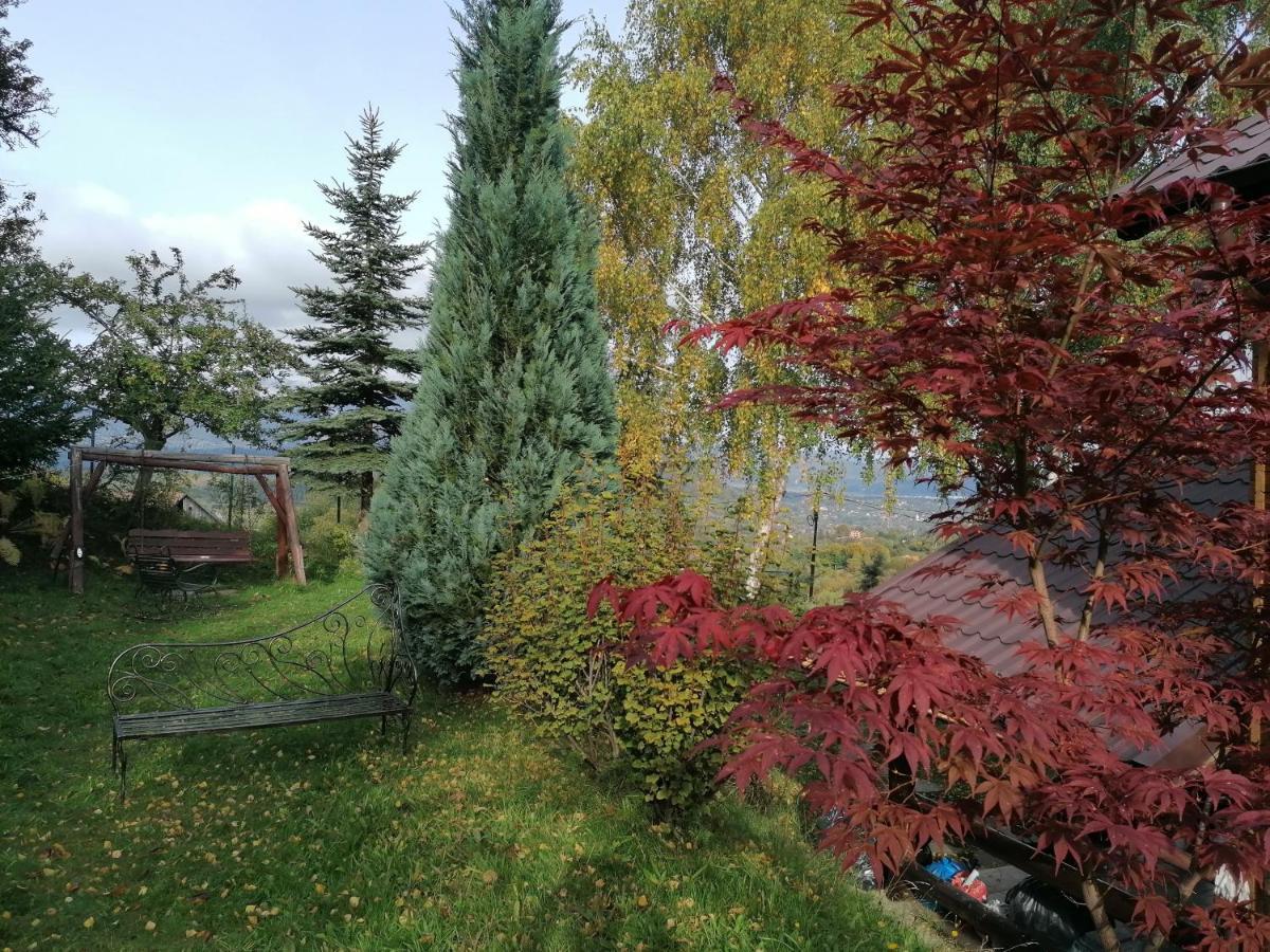 Casa Zara Villa Bran  Bagian luar foto