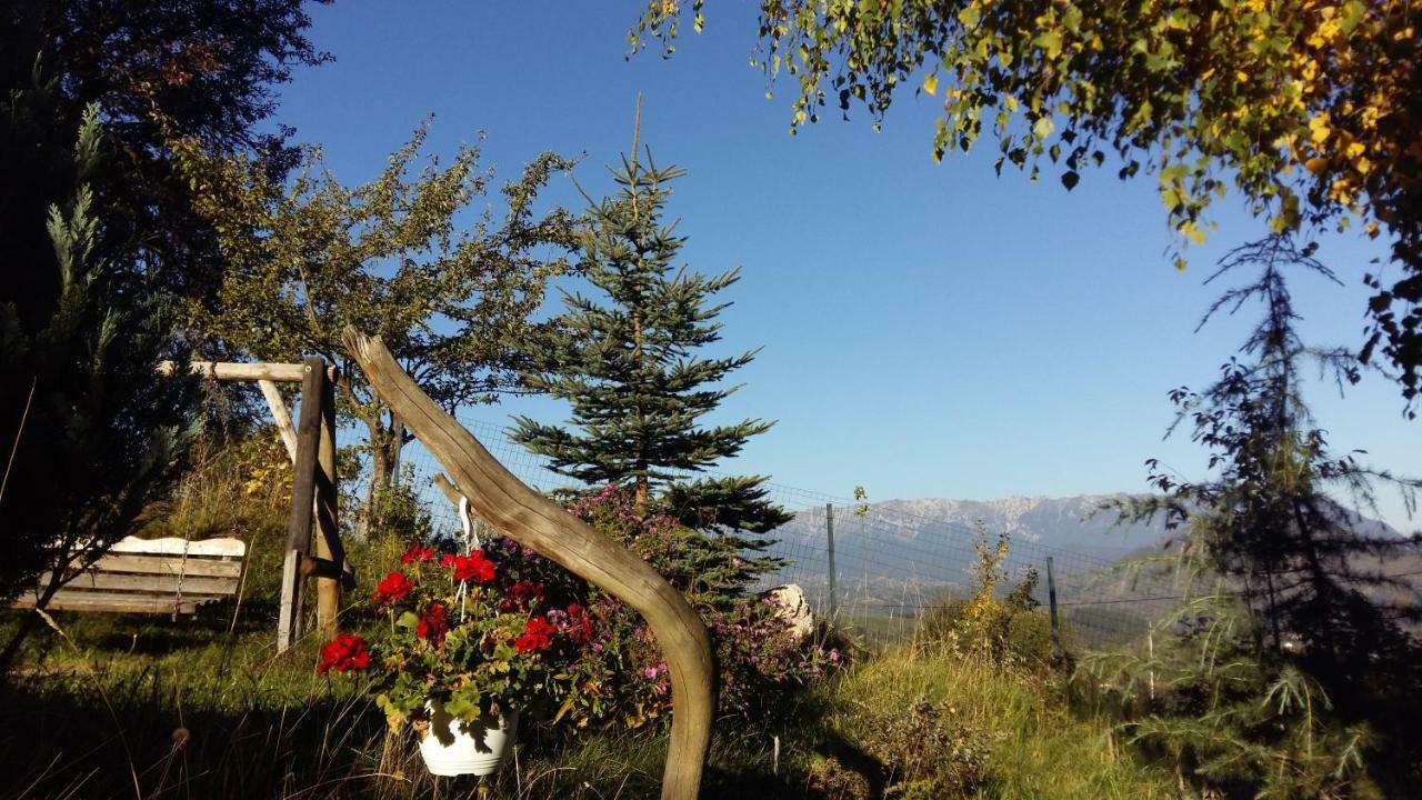 Casa Zara Villa Bran  Bagian luar foto