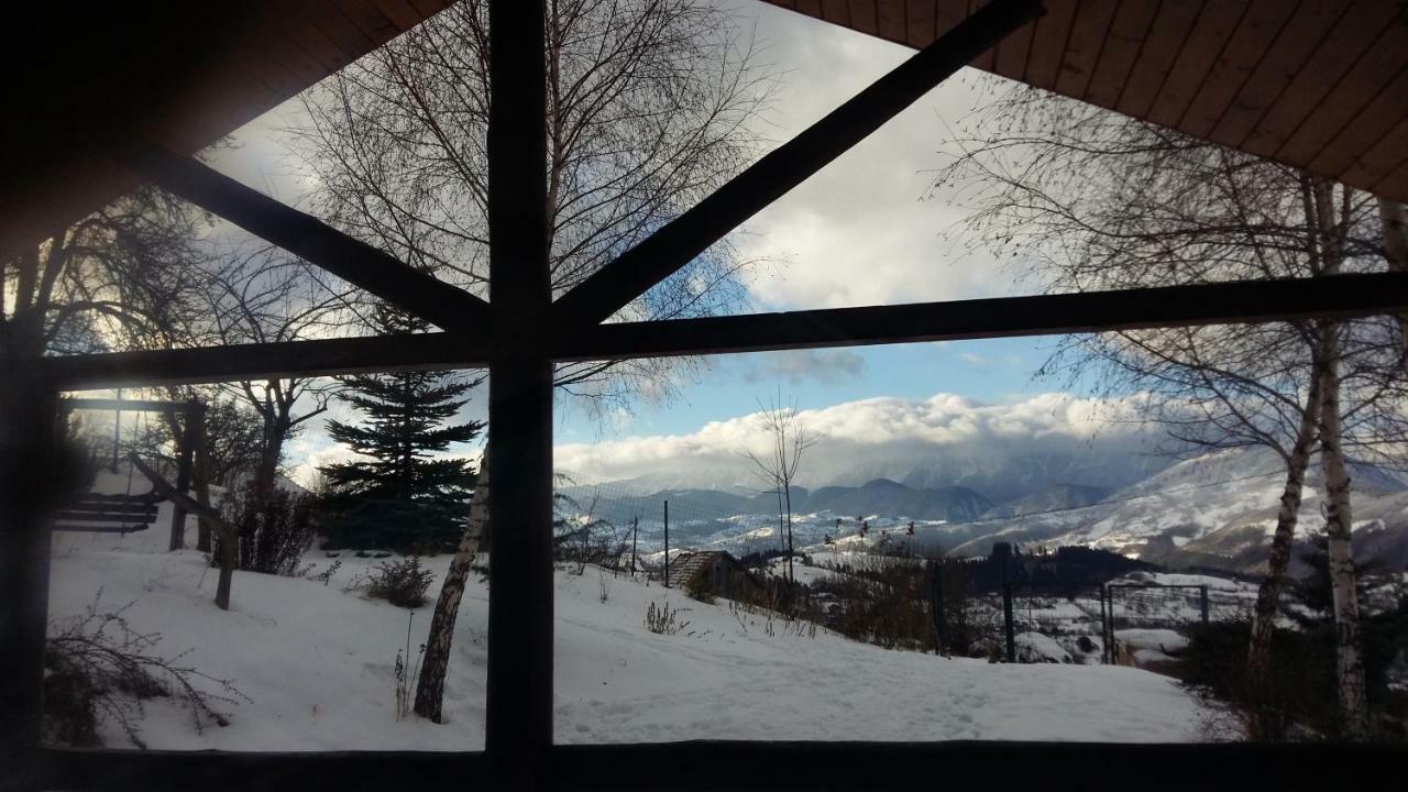 Casa Zara Villa Bran  Bagian luar foto