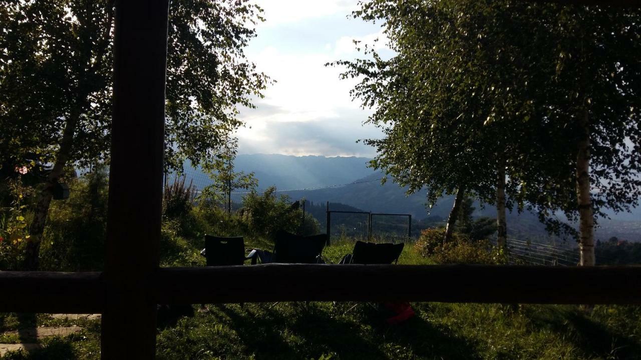 Casa Zara Villa Bran  Bagian luar foto