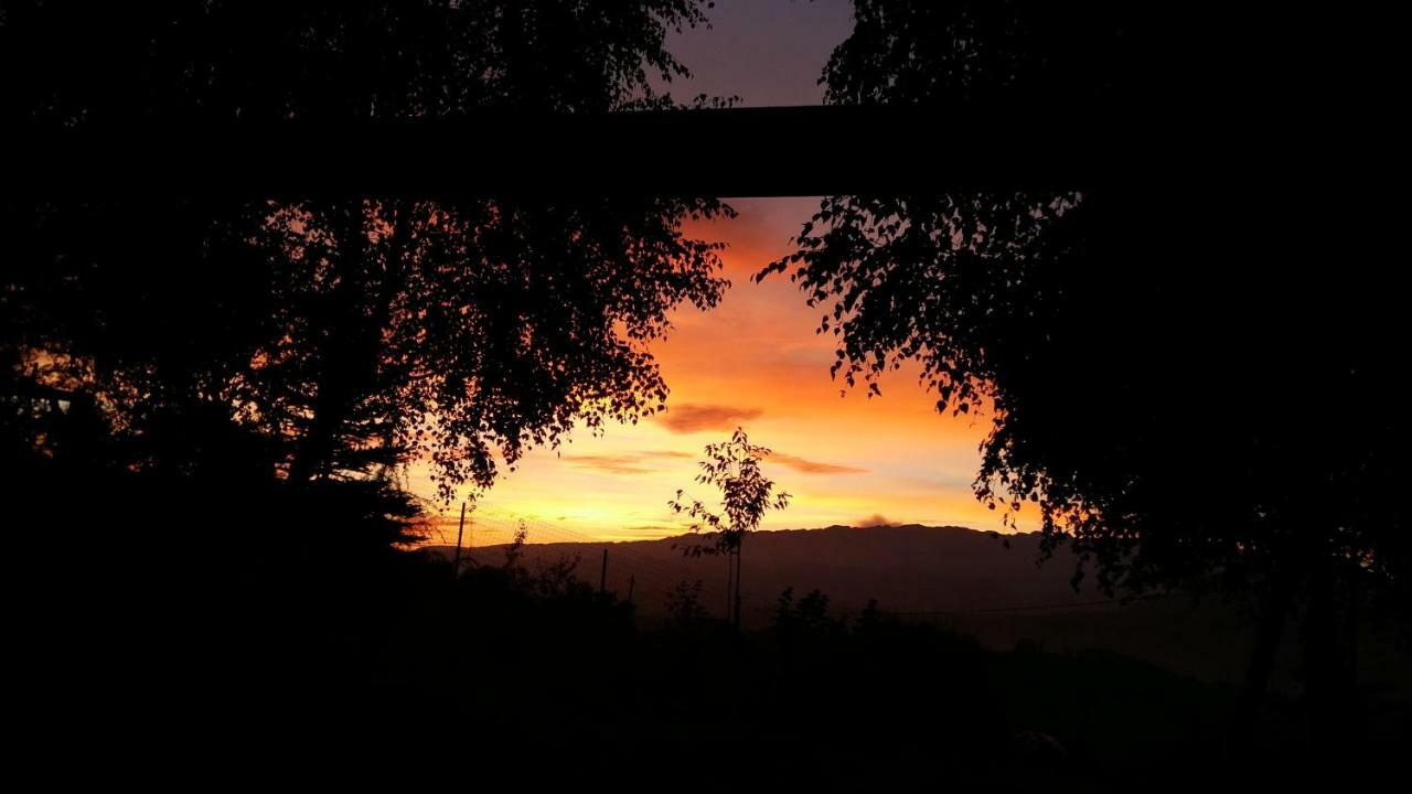 Casa Zara Villa Bran  Bagian luar foto