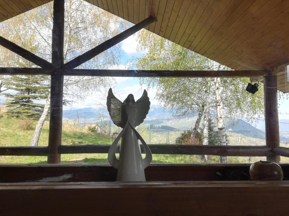 Casa Zara Villa Bran  Bagian luar foto